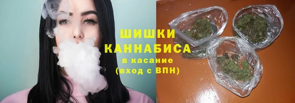 меф Богородицк