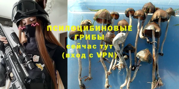 дурь Белоозёрский